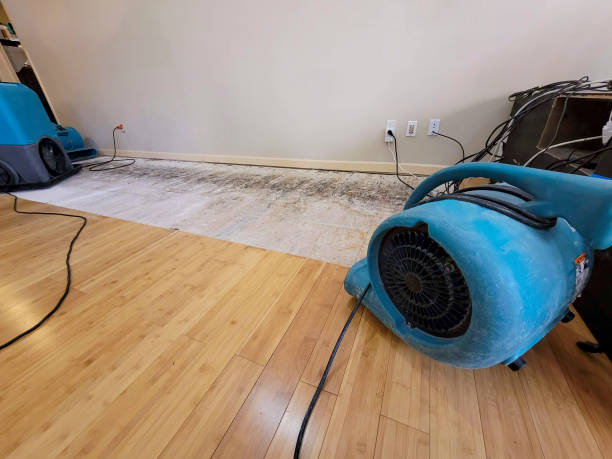 Professional Structural Drying technician working in Arthur, ND